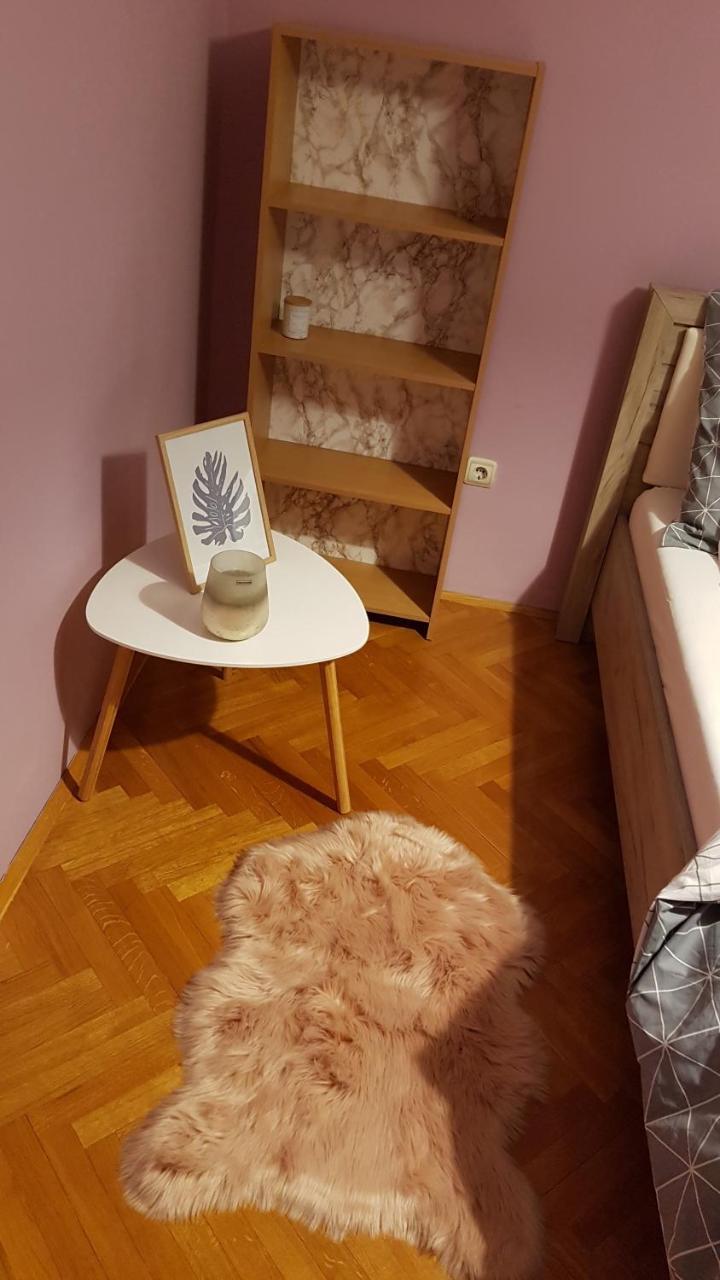 Apartment Krsta Nowy Sad Zewnętrze zdjęcie