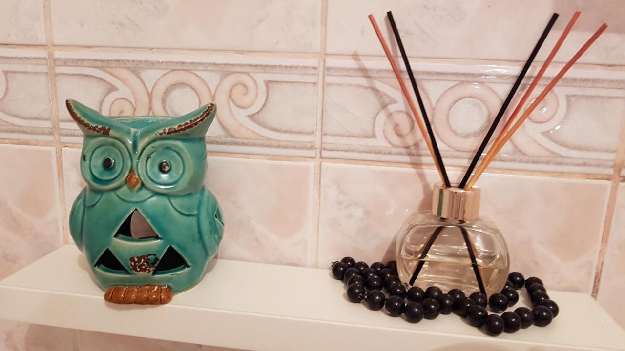 Apartment Krsta Nowy Sad Zewnętrze zdjęcie
